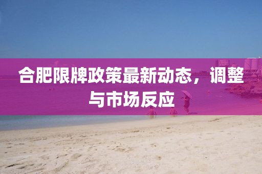合肥限牌政策最新動態(tài)，調(diào)整與市場反應(yīng)