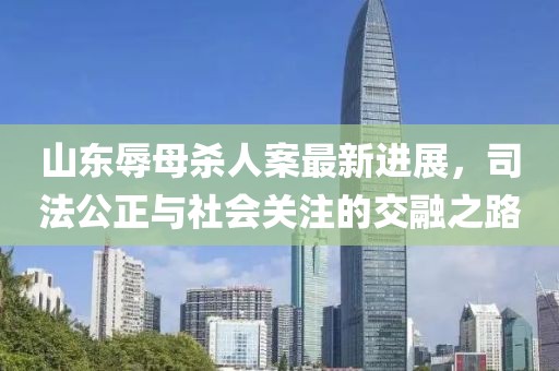 山東辱母殺人案最新進(jìn)展，司法公正與社會關(guān)注的交融之路
