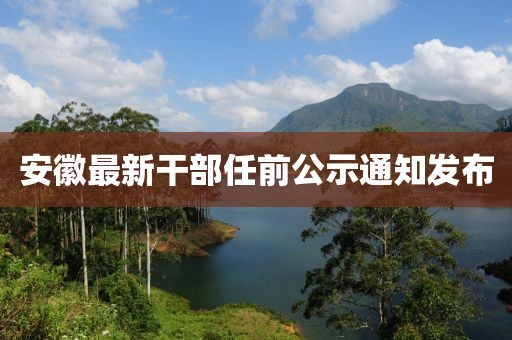 安徽最新干部任前公示通知發(fā)布