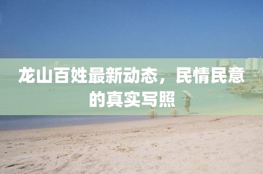 龍山百姓最新動(dòng)態(tài)，民情民意的真實(shí)寫照