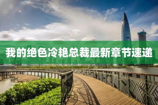 我的絕色冷艷總裁最新章節(jié)速遞