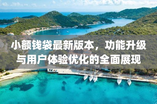 小額錢袋最新版本，功能升級與用戶體驗優(yōu)化的全面展現(xiàn)
