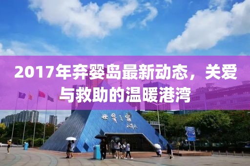 2017年棄嬰島最新動(dòng)態(tài)，關(guān)愛(ài)與救助的溫暖港灣