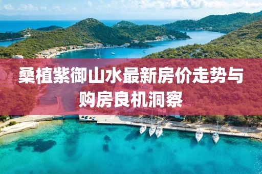 桑植紫御山水最新房價走勢與購房良機洞察