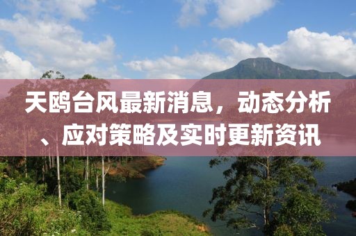 天鷗臺(tái)風(fēng)最新消息，動(dòng)態(tài)分析、應(yīng)對(duì)策略及實(shí)時(shí)更新資訊