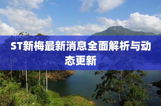 ST新梅最新消息全面解析與動態(tài)更新