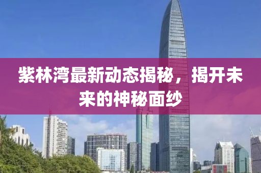 紫林灣最新動態(tài)揭秘，揭開未來的神秘面紗
