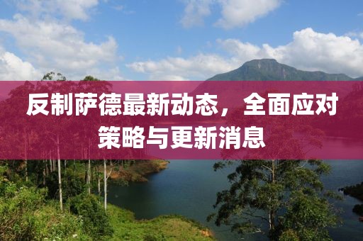 反制薩德最新動(dòng)態(tài)，全面應(yīng)對(duì)策略與更新消息