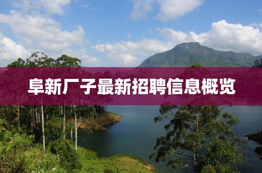 阜新廠子最新招聘信息概覽