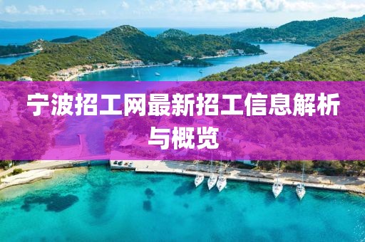 寧波招工網最新招工信息解析與概覽