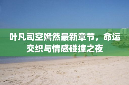 葉凡司空嫣然最新章節(jié)，命運(yùn)交織與情感碰撞之夜