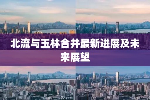 北流與玉林合并最新進(jìn)展及未來展望