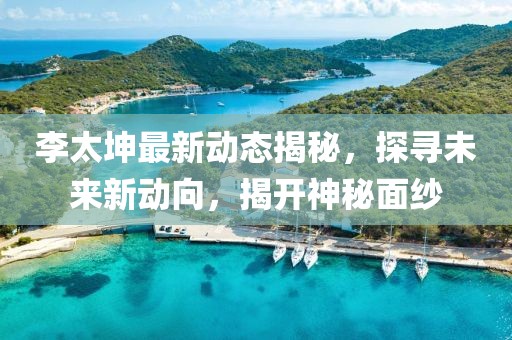 李太坤最新動(dòng)態(tài)揭秘，探尋未來新動(dòng)向，揭開神秘面紗