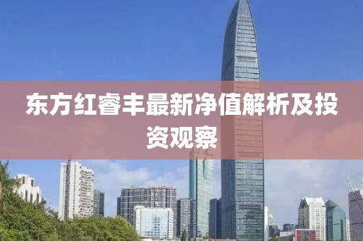 東方紅睿豐最新凈值解析及投資觀察