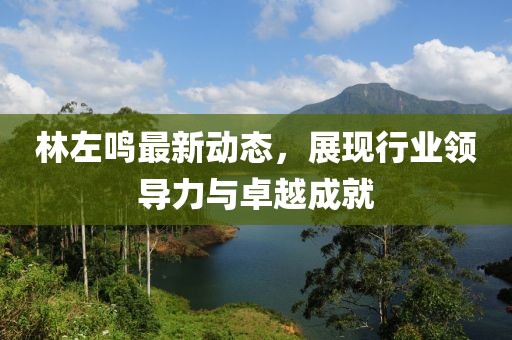 林左鳴最新動態(tài)，展現(xiàn)行業(yè)領(lǐng)導(dǎo)力與卓越成就