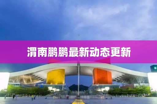 渭南鵬鵬最新動態(tài)更新