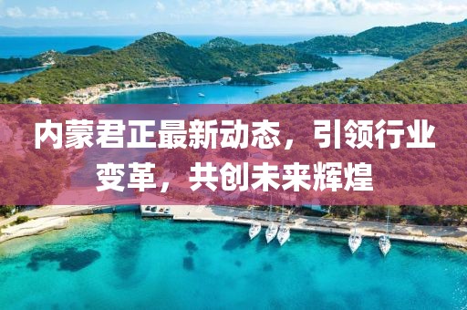 內(nèi)蒙君正最新動(dòng)態(tài)，引領(lǐng)行業(yè)變革，共創(chuàng)未來輝煌