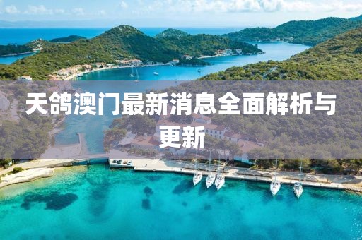 天鴿澳門最新消息全面解析與更新