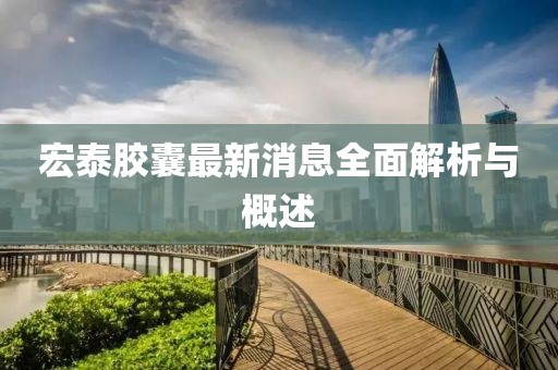 宏泰膠囊最新消息全面解析與概述