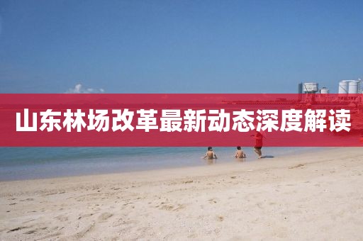 山東林場改革最新動(dòng)態(tài)深度解讀