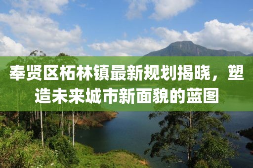奉賢區(qū)柘林鎮(zhèn)最新規(guī)劃揭曉，塑造未來城市新面貌的藍(lán)圖