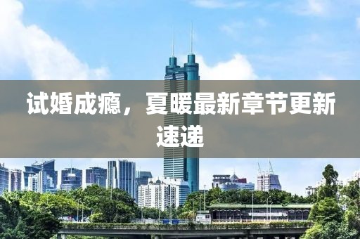 試婚成癮，夏暖最新章節(jié)更新速遞