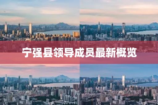 寧強(qiáng)縣領(lǐng)導(dǎo)成員最新概覽