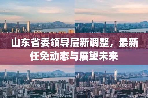 山東省委領(lǐng)導層新調(diào)整，最新任免動態(tài)與展望未來