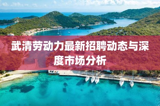 武清勞動(dòng)力最新招聘動(dòng)態(tài)與深度市場(chǎng)分析