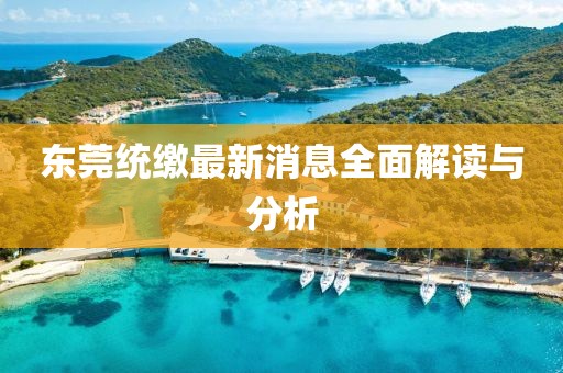 東莞統(tǒng)繳最新消息全面解讀與分析