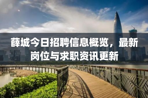 薛城今日招聘信息概覽，最新崗位與求職資訊更新