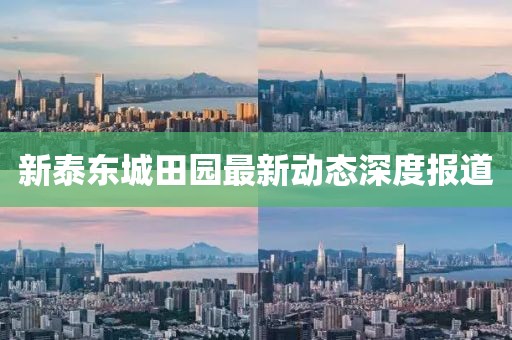 新泰東城田園最新動態(tài)深度報道