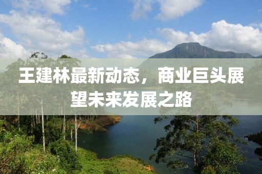 王建林最新動態(tài)，商業(yè)巨頭展望未來發(fā)展之路