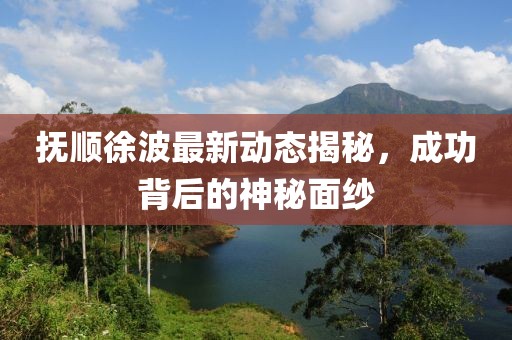 撫順徐波最新動態(tài)揭秘，成功背后的神秘面紗