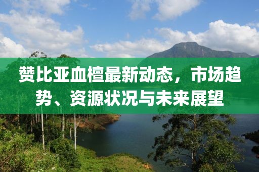 贊比亞血檀最新動態(tài)，市場趨勢、資源狀況與未來展望