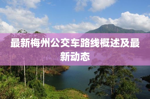 最新梅州公交車路線概述及最新動態(tài)