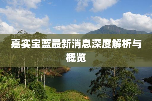 嘉實寶藍(lán)最新消息深度解析與概覽