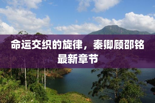 命運交織的旋律，秦卿顧邵銘最新章節(jié)