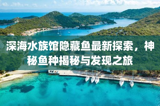 發(fā)過夢 第10頁