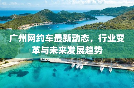 廣州網(wǎng)約車最新動(dòng)態(tài)，行業(yè)變革與未來(lái)發(fā)展趨勢(shì)