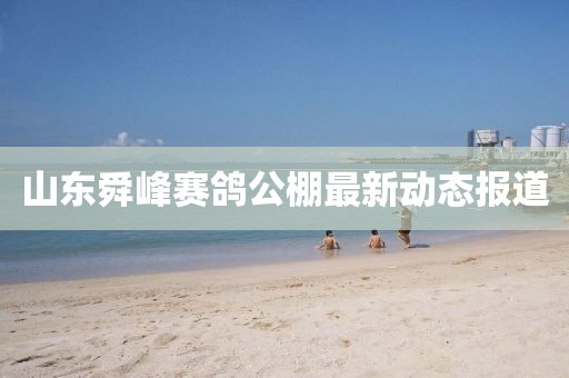 山東舜峰賽鴿公棚最新動(dòng)態(tài)報(bào)道
