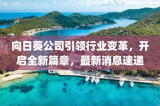 向日葵公司引領(lǐng)行業(yè)變革，開啟全新篇章，最新消息速遞