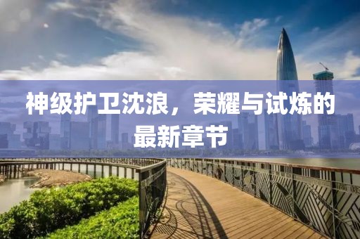 神級護(hù)衛(wèi)沈浪，榮耀與試煉的最新章節(jié)