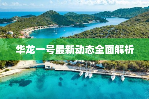 華龍一號最新動態(tài)全面解析