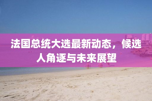 法國總統(tǒng)大選最新動態(tài)，候選人角逐與未來展望