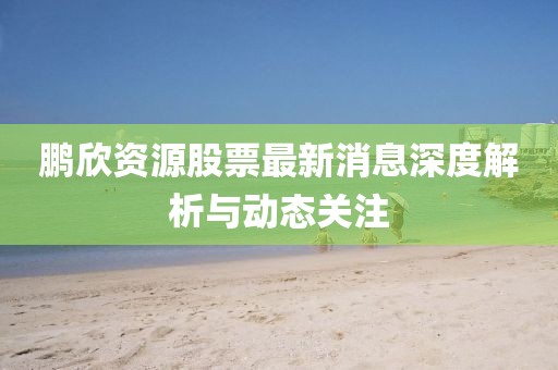 鵬欣資源股票最新消息深度解析與動態(tài)關注