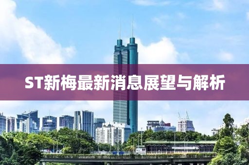 ST新梅最新消息展望與解析