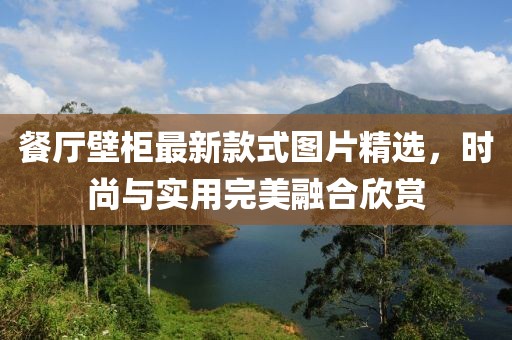 餐廳壁柜最新款式圖片精選，時(shí)尚與實(shí)用完美融合欣賞