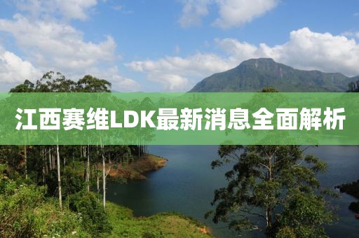 江西賽維LDK最新消息全面解析