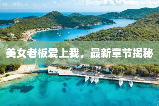 美女老板愛上我，最新章節(jié)揭秘
